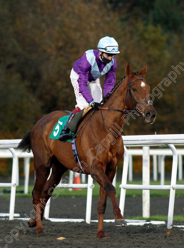 Tribal-Craft-0001 
 TRIBAL CRAFT (Oisin Murphy)
Kempton 2 Nov 2020 - Pic Steven Cargill / Racingfotos.com