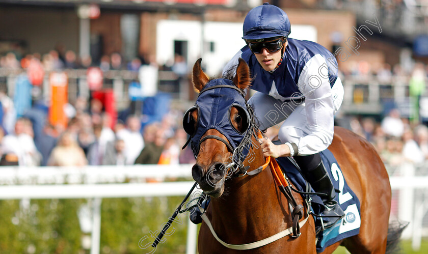 Democracy-Dilemma-0005 
 DEMOCRACY DILEMMA (George Downing) wins The British Stallion Studs EBF Maiden Stakes
Chester 5 May 2022 - Pic Steven Cargill / Racingfotos.com