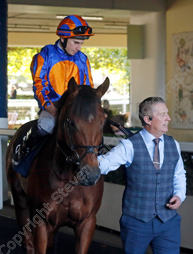 Henry-Longfellow-0001 
 HENRY LONGFELLOW (Ryan Moore)
Ascot 19 Oct 2024 - Pic Steven Cargill / Racingfotos.com