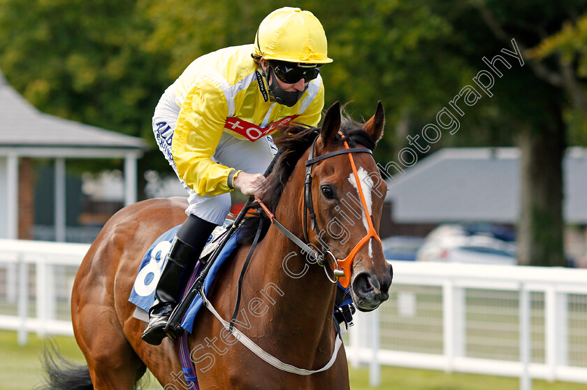 Fashionesque-0001 
 FASHIONESQUE (Pat Cosgrave)
Salisbury 11 Jul 2020 - Pic Steven Cargill / Racingfotos.com