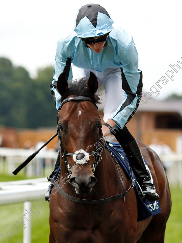 James-Street-0001 
 JAMES STREET (James Doyle)
York 22 Aug 2018 - Pic Steven Cargill / Racingfotos.com