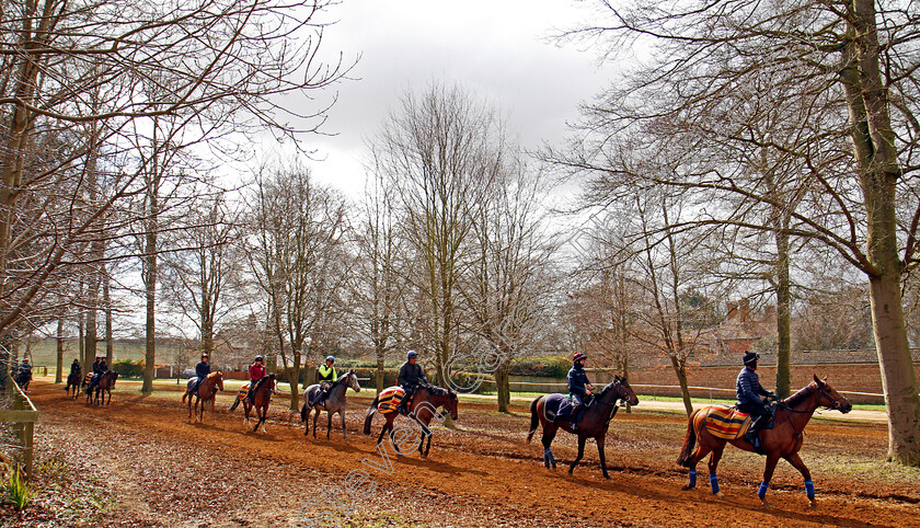 John-Gosden-0007 
 Two year olds trained by John Gosden return from the gallops at Newmarket 23 Mar 2018 - Pic Steven Cargill / Racingfotos.com