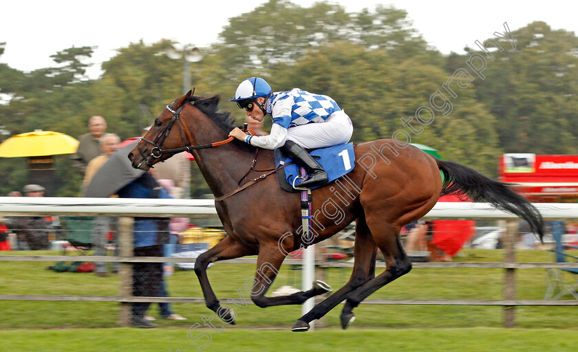 Clairette-0006 
 CLAIRETTE (Kieran Shoemark) wins The British EBF Quidhampton Maiden Fillies Stakes Div2 Salisbury 7 Sep 2017 - Pic Steven Cargill / Racingfotos.com