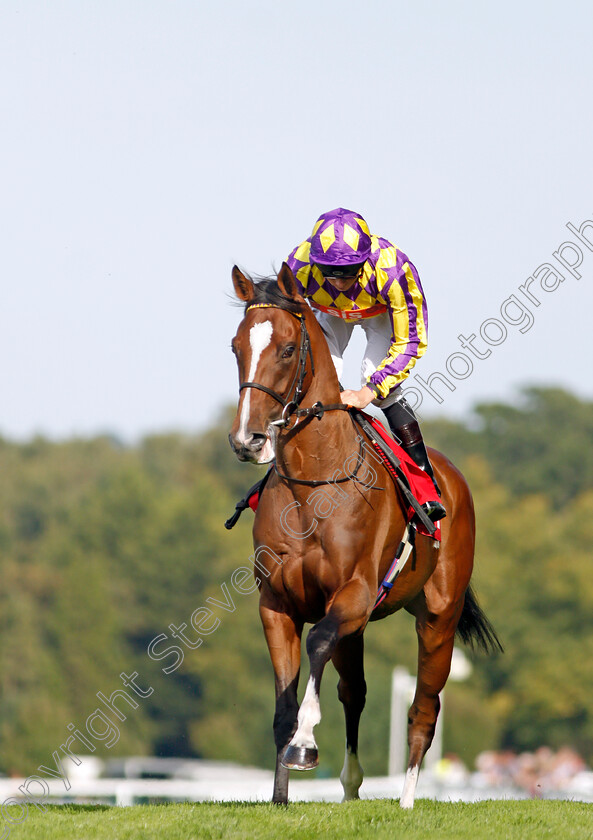 Skyman-0001 
 SKYMAN (Jason Watson) before The Betway Live Casino Handicap
Sandown 30 Aug 2019 - Pic Steven Cargill / Racingfotos.com