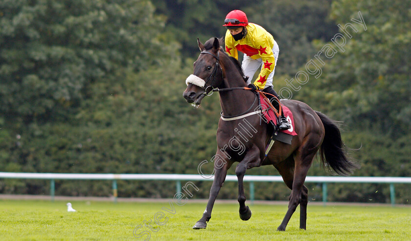 Danzan-0001 
 DANZAN (Duran Fentiman)
Haydock 4 Sep 2020 - Pic Steven Cargill / Racingfotos.com