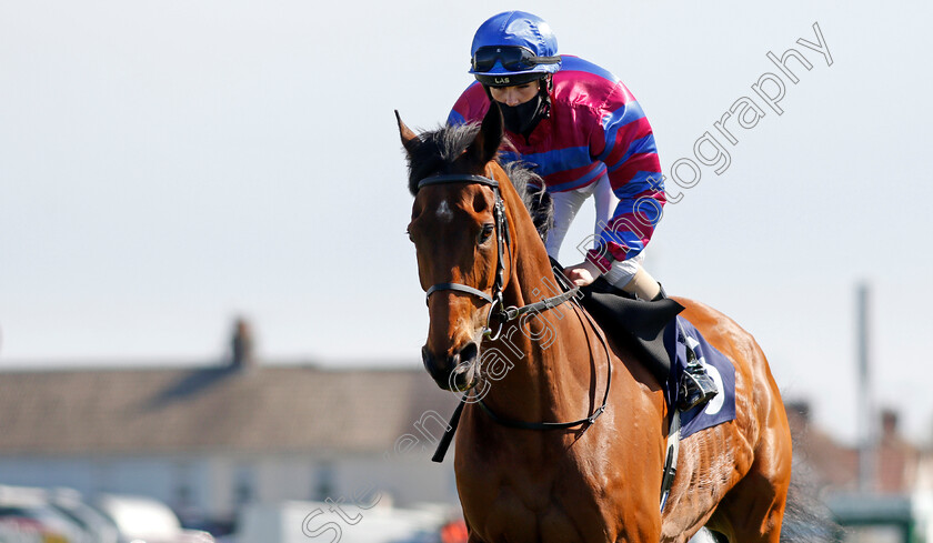 Tynecastle-Park-0004 
 TYNECASTLE PARK (Molly Presland)
Yarmouth 19 May 2021 - Pic Steven Cargill / Racingfotos.com