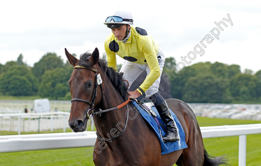 Eagle-Day 
 EAGLE DAY (Daniel Tudhope)
York 11 Jun 2022 - Pic Steven Cargill / Racingfotos.com