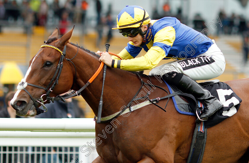 Infanta-Isabella-0005 
 INFANTA ISABELLA (Harry Bentley) wins The Comax Handicap
Newbury 13 Jun 2019 - Pic Steven Cargill / Racingfotos.com