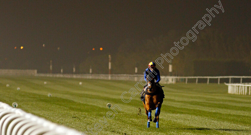 Lord-North-0005 
 LORD NORTH (Frankie Dettori) training for The Dubai Turf
Meydan, Dubai, 24 Mar 2022 - Pic Steven Cargill / Racingfotos.com