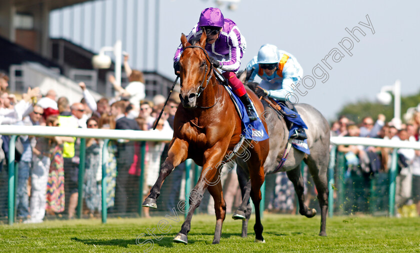 Little-Big-Bear-0006 
 LITTLE BIG BEAR (Frankie Dettori) wins The Betfred Nifty Fifty Sandy Lane Stakes
Haydock 27 May 2023 - pic Steven Cargill / Racingfotos.com