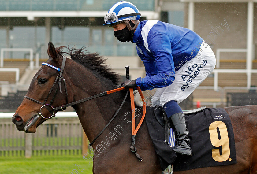 Tarhib-0001 
 TARHIB (Jim Crowley)
Newmarket 31 Oct 2020 - Pic Steven Cargill / Racingfotos.com