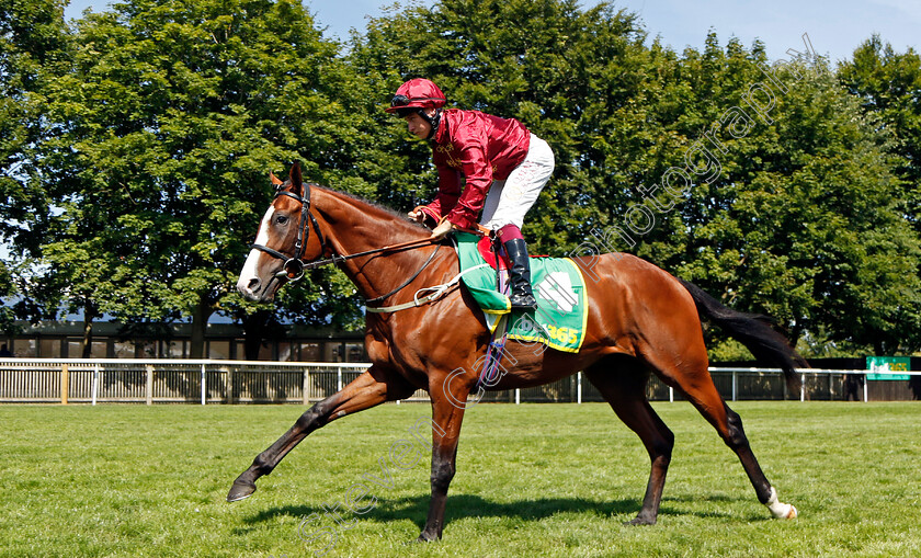 Lion-Of-War-0002 
 LION OF WAR (Cieren Fallon)
Newmarket 9 Jul 2022 - Pic Steven Cargill / Racingfotos.com