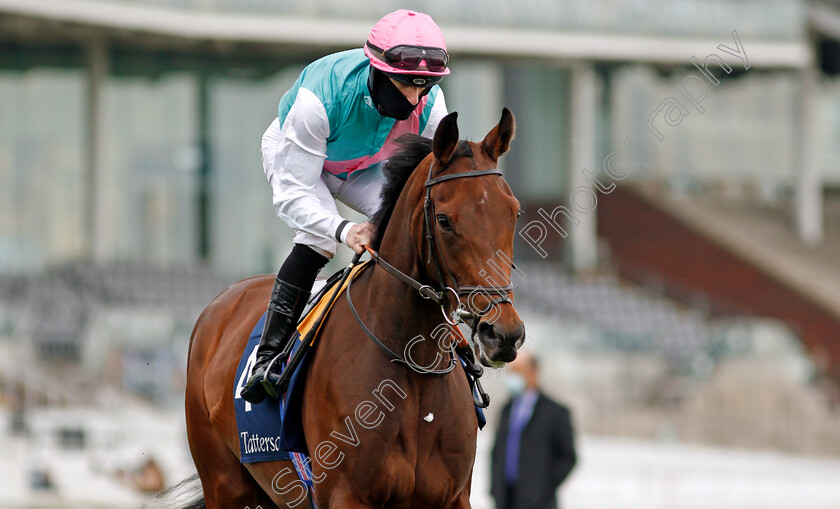 Noon-Star-0001 
 NOON STAR (Richard Kingscote)
York 12 May 2021 - Pic Steven Cargill / Racingfotos.com