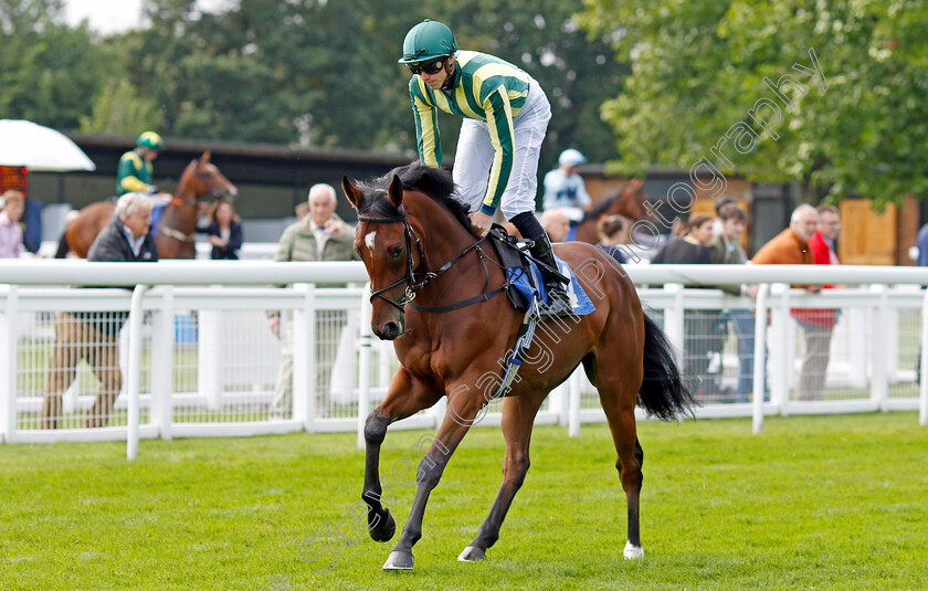 Makashi-0001 
 MAKASHI (James Doyle)
Salisbury 12 Aug 2021 - Pic Steven Cargill / Racingfotos.com