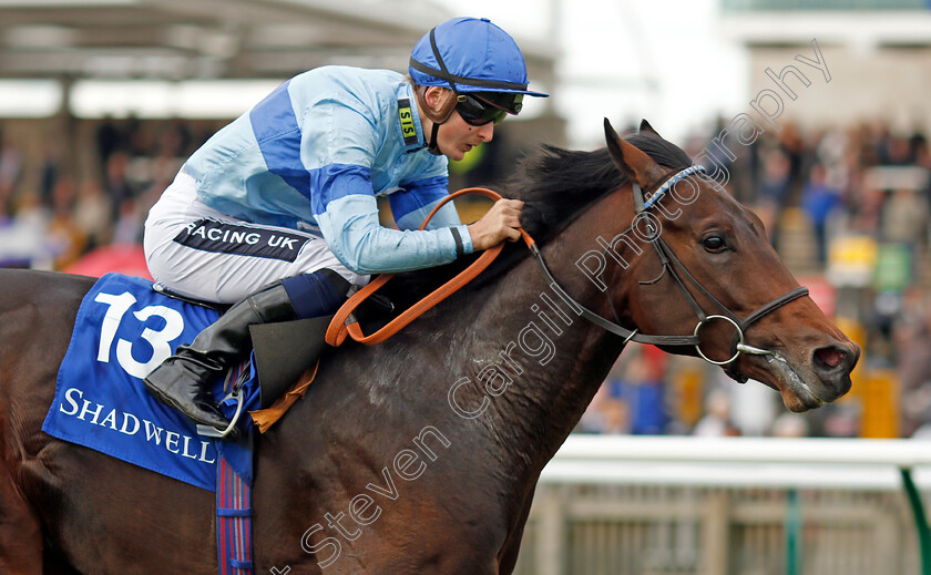 Thrave-0005 
 THRAVE (Harry Bentley) wins The Derrinstown British EBF Maiden Stakes Newmarket 29 Sep 2017 - Pic Steven Cargill / Racingfotos.com