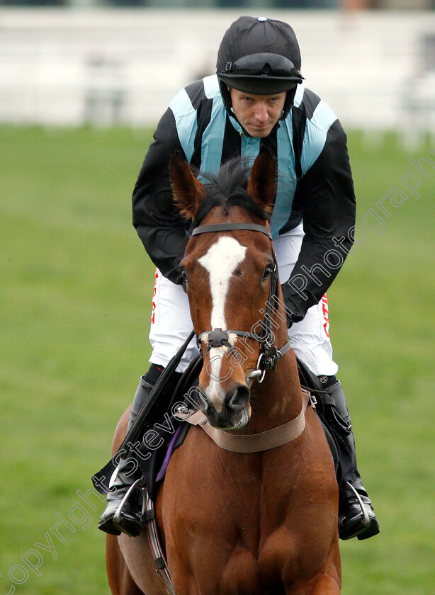 Green-Dolphin-0002 
 GREEN DOLPHIN (Noel Fehily)
Newbury 22 Mar 2019 - Pic Steven Cargill / Racingfotos.com