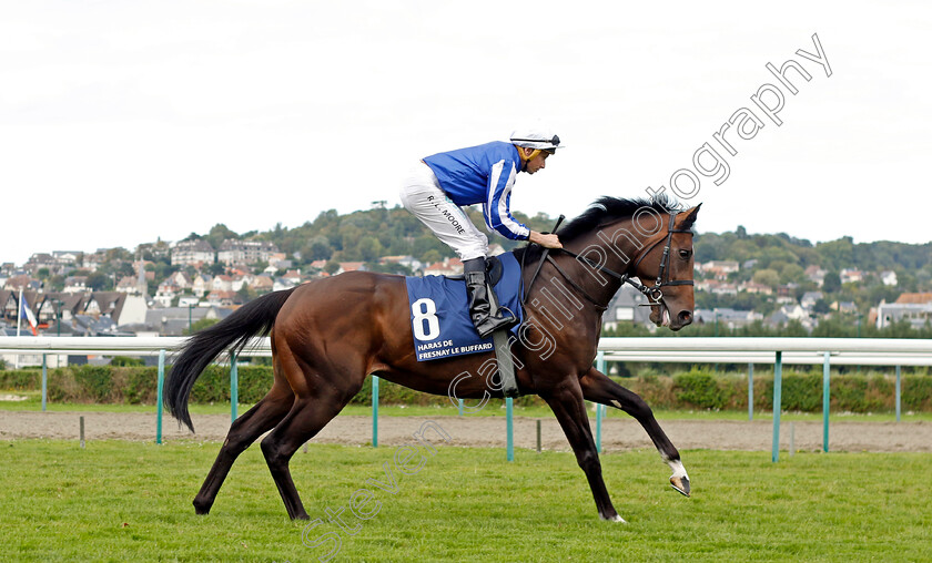 Marhaba-Ya-Sanafi-0001 
 MARHABA YA SANAFI (Ryan Moore)
Deauville 13 Aug 2023 - Pic Steven Cargill / Racingfotos.com