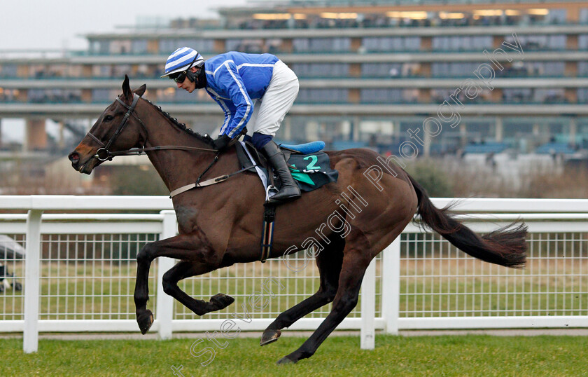 Energumene-0008 
 ENERGUMENE (Paul Townend)
Ascot 22 Jan 2022 - Pic Steven Cargill / Racingfotos.com