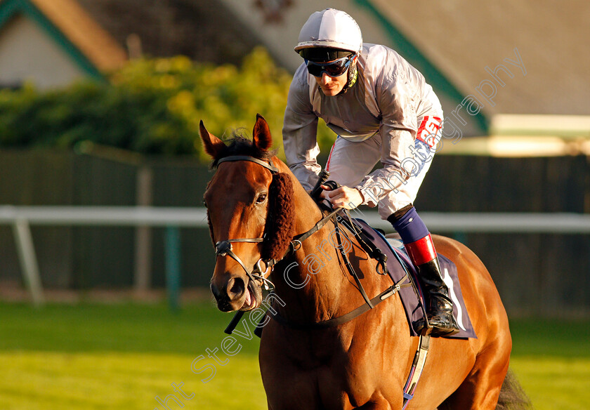 Stanhope-0001 
 STANHOPE (Fran Berry) Yarmouth 20 Sep 2017 - Pic Steven Cargill / Racingfotos.com