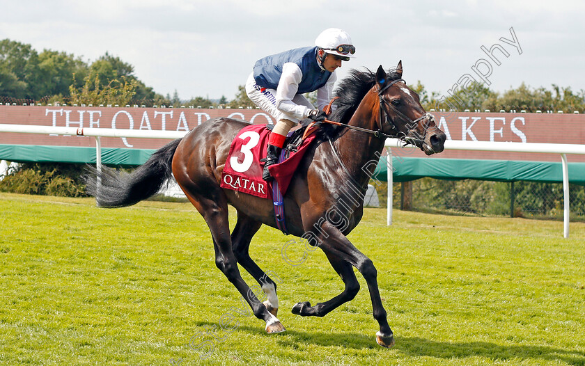 Cap-Francais-0001 
 CAP FRANCAIS (Andrea Atzeni)
Goodwood 1 Aug 2019 - Pic Steven Cargill / Racingfotos.com