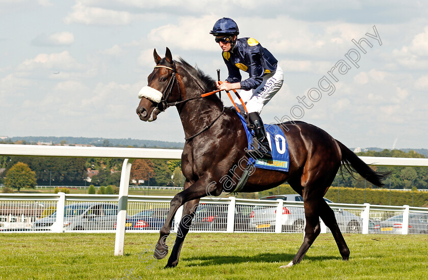 Across-Dubai-0001 
 ACROSS DUBAI (Pat Cosgrave) Sandown 2 Sep 2017 - Pic Steven Cargill / Racingfotos.com