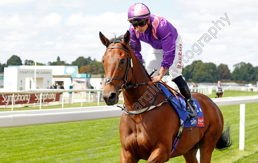 Mountain-Peak 
 MOUNTAIN PEAK (Tom Marquand)
York 17 Aug 2022 - Pic Steven Cargill / Racingfotos.com