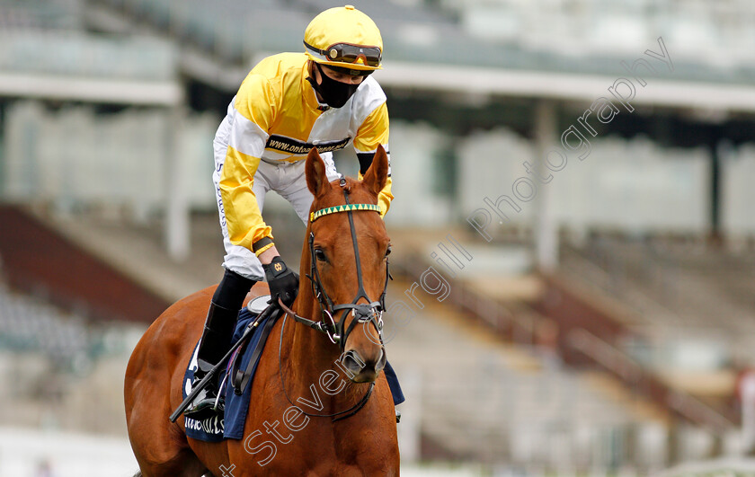 Quiet-Assassin-0001 
 QUIET ASSASSIN (Sean Davis)
York 12 May 2021 - Pic Steven Cargill / Racingfotos.com