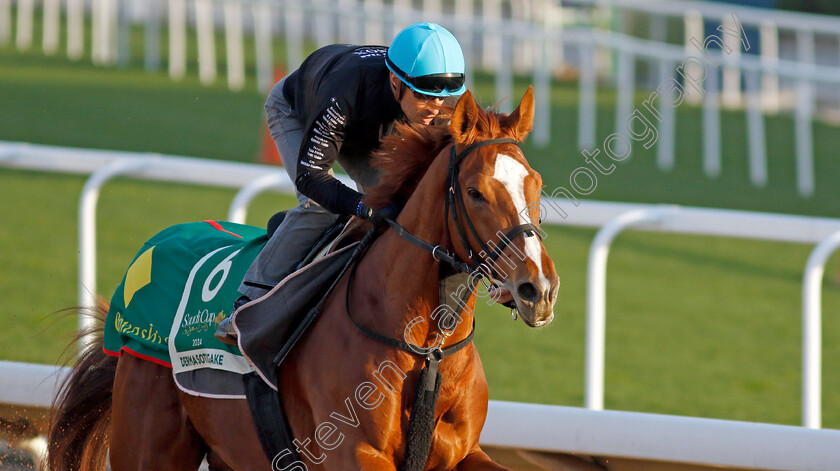 Derma-Sotogake-0001 
 DERMA SOTOGAKE training for The Saudi Cup
King Abdulaziz Racecourse, Saudi Arabia 21 Feb 2024 - Pic Steven Cargill / Racingfotos.com