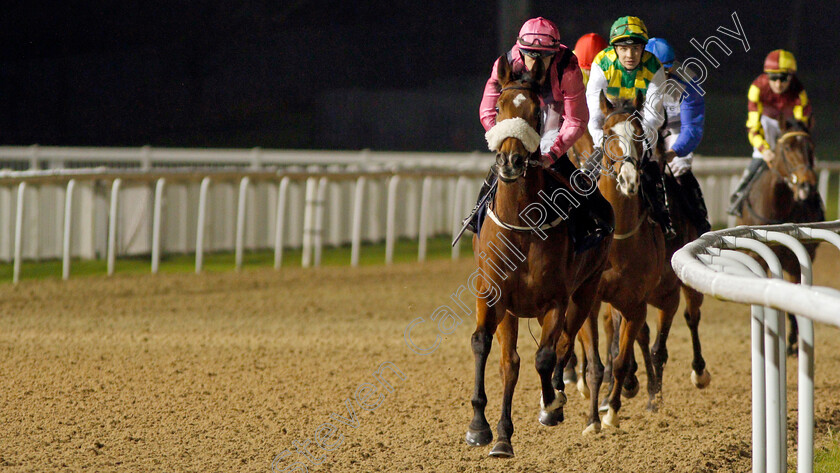 Loving-Glance-0001 
 LOVING GLANCE (Richard Kingscote) before The Bombardier British Hopped Amber Beer Novice Stakes
Chelmsford 26 Nov 2019 - Pic Steven Cargill / Racingfotos.com