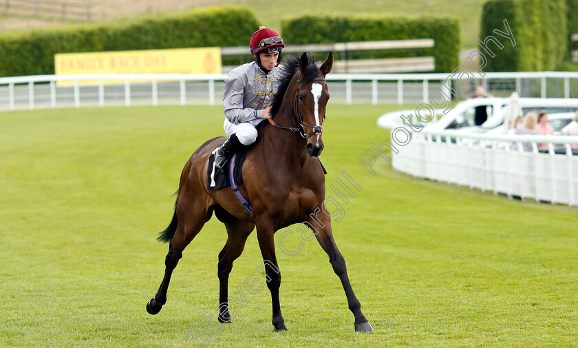 Al-Messila-0001 
 AL MESSILA (Rossa Ryan)
Goodwood 24 May 2019 - Pic Steven Cargill / Racingfotos.com