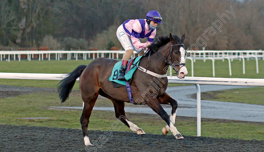 Relative-Ease-0001 
 RELATIVE EASE (Robbie Downey)
Kempton 16 Feb 2021 - Pic Steven Cargill / Racingfotos.com