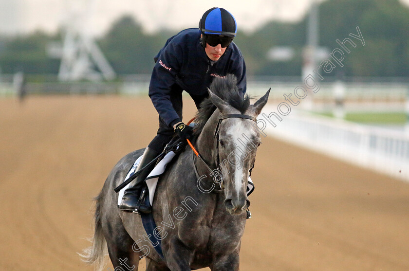 The-Ice-Phoenix-0001 
 THE ICE PHOENIX training at the Dubai Racing Carnival
Meydan 22 Jan 2025 - Pic Steven Cargill / Racingfotos.com