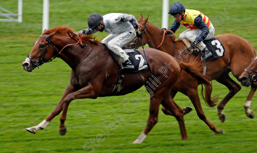 Tyson-Fury-0003 
 TYSON FURY (Kieran Shoemark) wins The Charlie Waller Trust Novice Stakes
Ascot 2 Oct 2020 - Pic Steven Cargill / Racingfotos.com