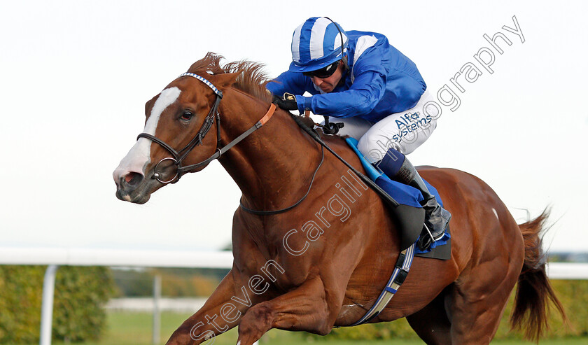 Bayraq-0005 
 BAYRAQ (Jim Crowley) wins The Unibet / British Stallion Studs EBF Novice Stakes
Kempton 6 Oct 2021 - Pic Steven Cargill / Racingfotos.com