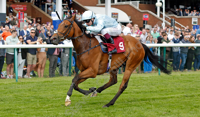 Nariko-0003 
 NARIKO (Oisin Murphy) wins The Betfred Double Delight Edge Green Handicap
Haydock 25 May 2024 - Pic Steven Cargill / Racingfotos.com