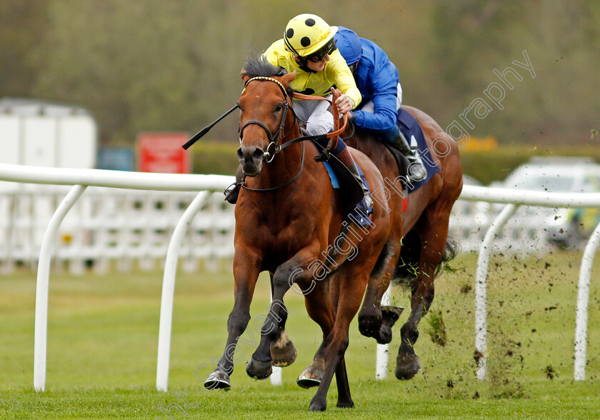 Third-Realm-0005 
 THIRD REALM (David Egan) wins The Novibet Derby Trial Stakes
Lingfield 8 May 2021 - Pic Steven Cargill / Racingfotos.com