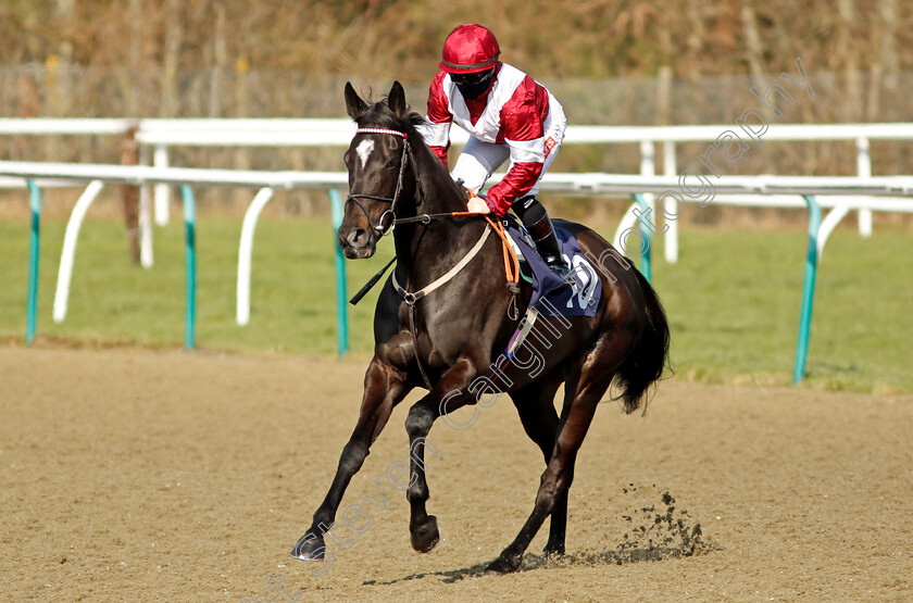 Luna-Magic-0001 
 LUNA MAGIC (Hollie Doyle)
Lingfield 27 Feb 2021 - Pic Steven Cargill / Racingfotos.com