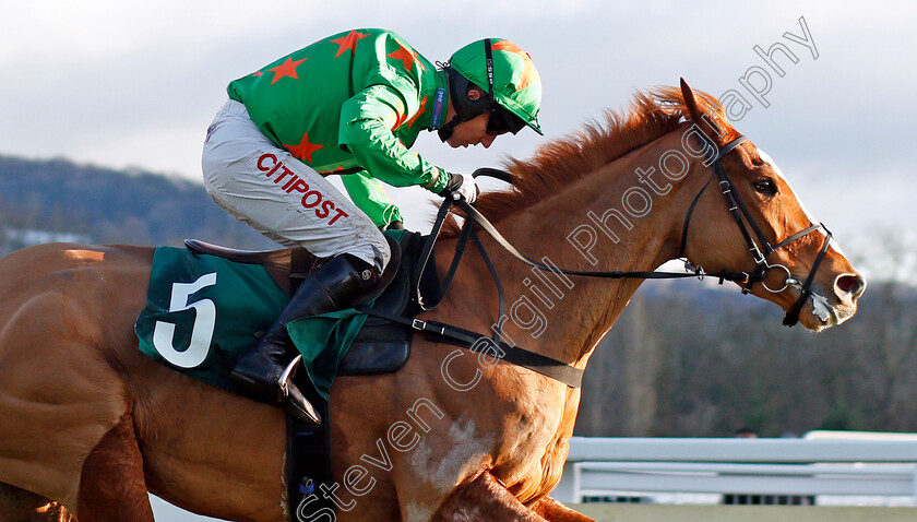 Ms-Parfois-0005 
 MS PARFOIS (Noel Fehily) wins The CF Roberts Electrical & Mechanical Services Mares Handicap Chase Cheltenham 15 Dec 2017 - Pic Steven Cargill / Racingfotos.com