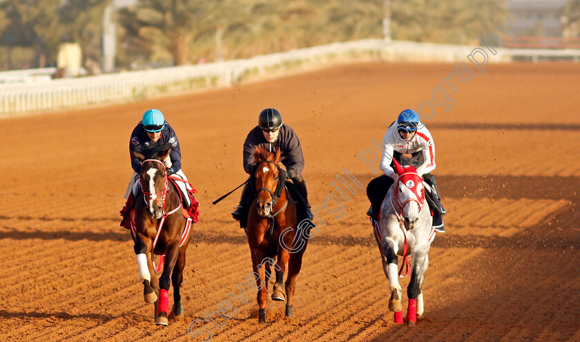 Stay-Foolish,-Sekifu-and-Entscheiden-0001 
 STAY FOOLISH (left) SEKIFU (centre) and ENTSCHEIDEN (right) training for their races at the Saudi Cup
King Abdulaziz Racetrack, Riyadh, Saudi Arabia 23 Feb 2022 - Pic Steven Cargill / Racingfotos.com