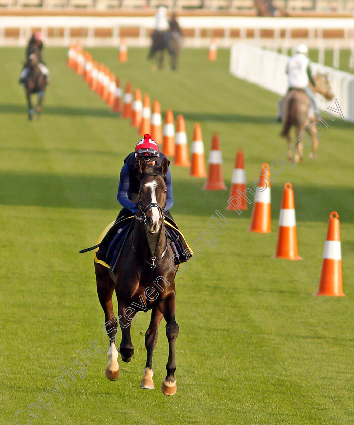 Pyledriver-0001 
 PYLEDRIVER training for the Turf Cup
King Abdulaziz Racetrack, Riyadh, Saudi Arabia 24 Feb 2022 - Pic Steven Cargill / Racingfotos.com