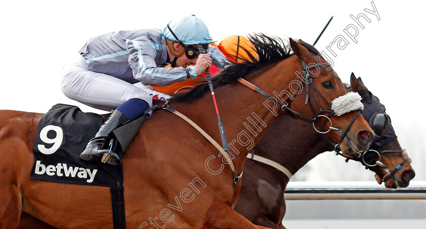 Attain-0006 
 ATTAIN (nearside, Pierre-Louis Jamin) beats WIDNES (farside) in The Betway Casino Handicap Lingfield 3 Mar 2018 - Pic Steven Cargill / Racingfotos.com