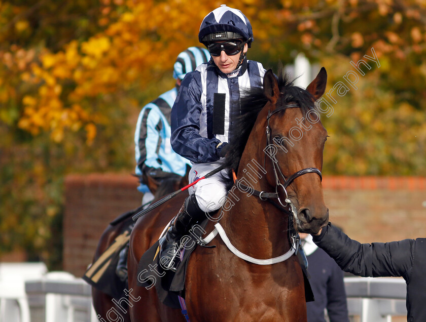 Tiamat-0001 
 TIAMAT (P J McDonald)
Newmarket 19 Oct 2022 - Pic Steven Cargill / Racingfotos.com