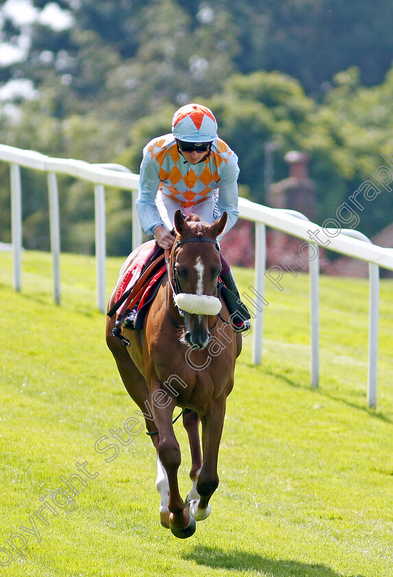 Wild-Waves-0001 
 WILD WAVES (Rob Hornby)
Sandown 7 Jul 2023 - Pic Steven Cargill / Racingfotos.com