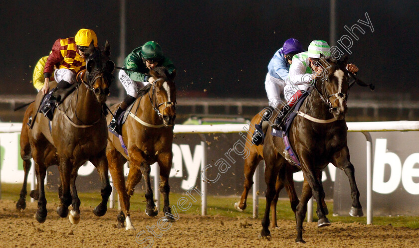 Martineo-0001 
 MARTINEO (Adam Kirby) beats LUCKY LODGE (left) in The Like Sun Racing On Facebook Handicap
Wolverhampton 26 Feb 2019 - Pic Steven Cargill / Racingfotos.com