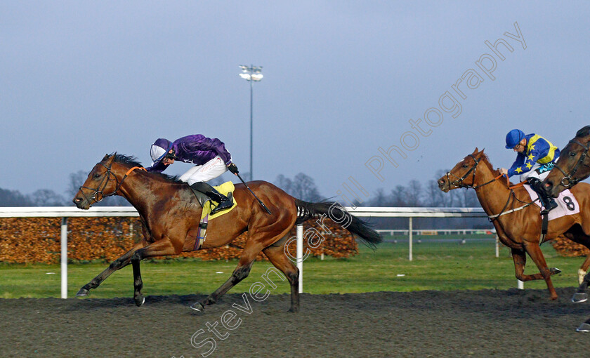 Clase-Azul-Ultra-0006 
 CLASE AZUL ULTRA (Rossa Ryan) wins The Unibet Horserace Betting Operator of The Year Maiden Stakes
Kempton 16 Feb 2022 - Pic Steven Cargill / Racingfotos.com