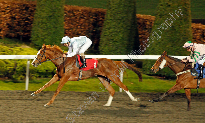 Guroor-0003 
 GUROOR (Stefano Cherchi) wins The 100% Profit Boost At 32redsport.com Fillies Handicap
Kempton 19 Feb 2020 - Pic Steven Cargill / Racingfotos.com