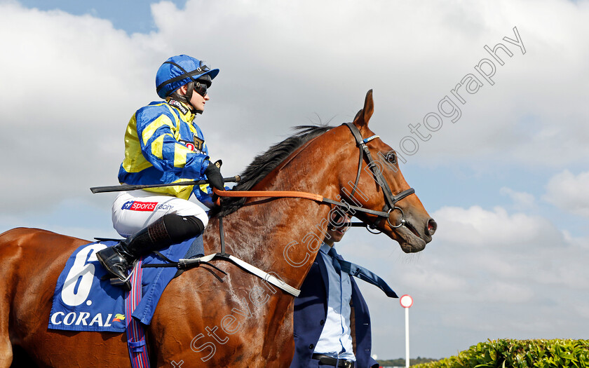 Trueshan-0002 
 TRUESHAN (Hollie Doyle)
Doncaster 11 Sep 2022 - Pic Steven Cargill / Racingfotos.com