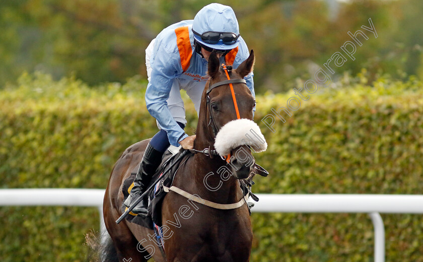 Due-Consideration-0002 
 DUE CONSIDERATION (Connor Murtagh)
Kempton 8 Sep 2023 - Pic Steven Cargill / Racingfotos.com