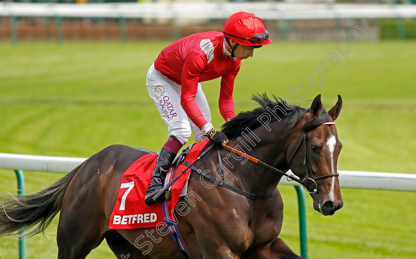 Sir-Les-Patterson-0003 
 SIR LES PATTERSON (Oisin Murphy)
Haydock 25 May 2024 - Pic Steven cargill / Racingfotos.com