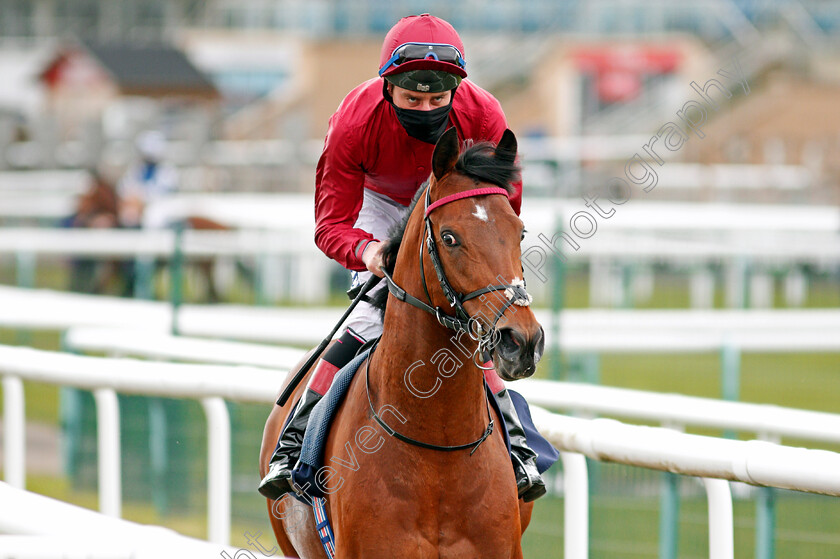 Guru-0002 
 GURU (Adam Kirby)
Doncaster 28 Mar 2021 - Pic Steven Cargill / Racingfotos.com